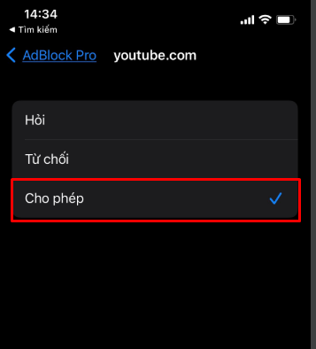 chặn quảng cáo youtube trong trình duyệt safari (4)