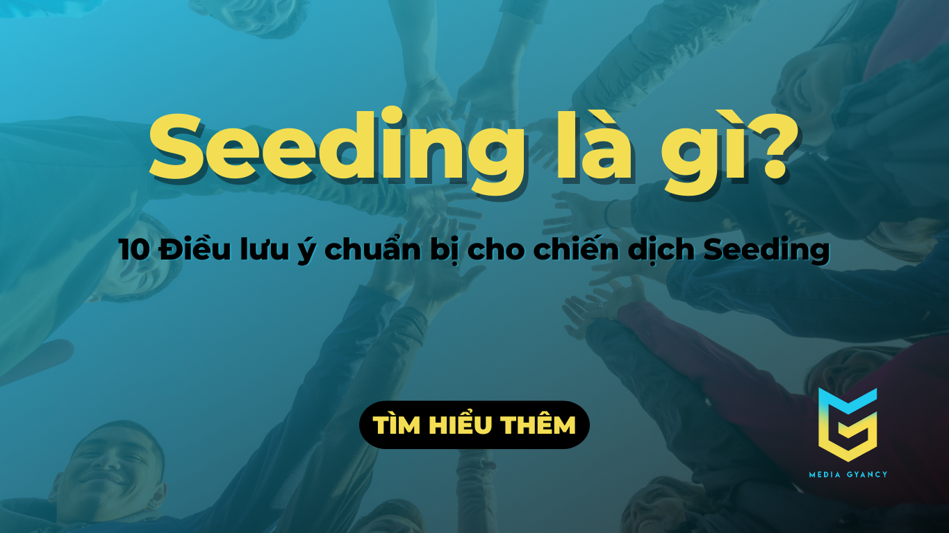 Seeding là gì