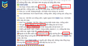 Tổng hợp các từ vi phạm chính sách Facebook khi chạy Facebook Ads